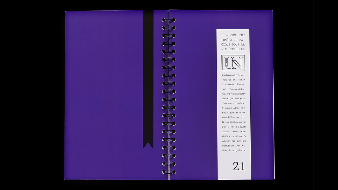 Pages n°20-21 du mémoire Pleasure