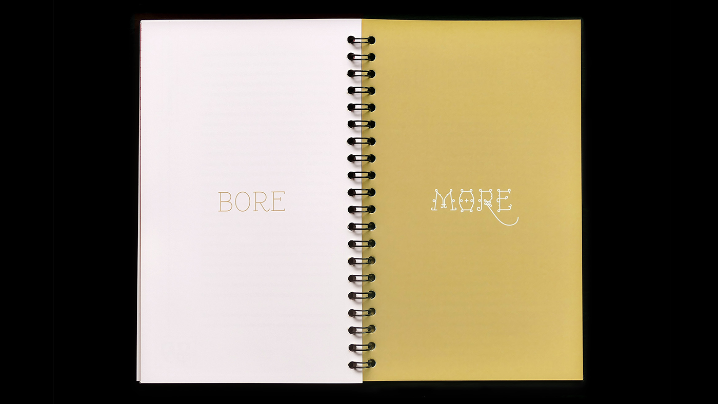 Pages n°80-81 du mémoire Pleasure