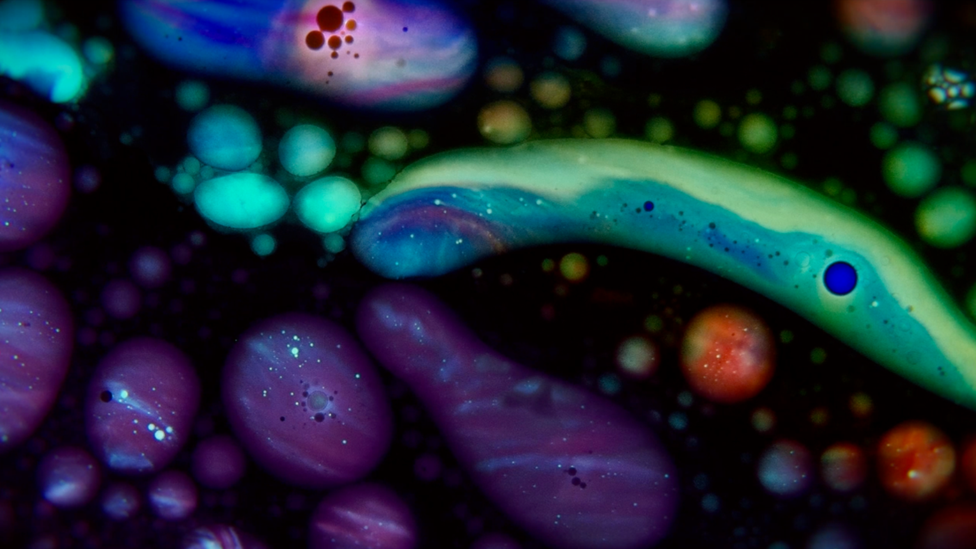 Still frame n°5 de Domotic