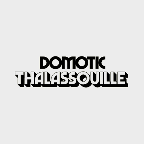 Logotypes Logotypes de Domotic et Thalassouille