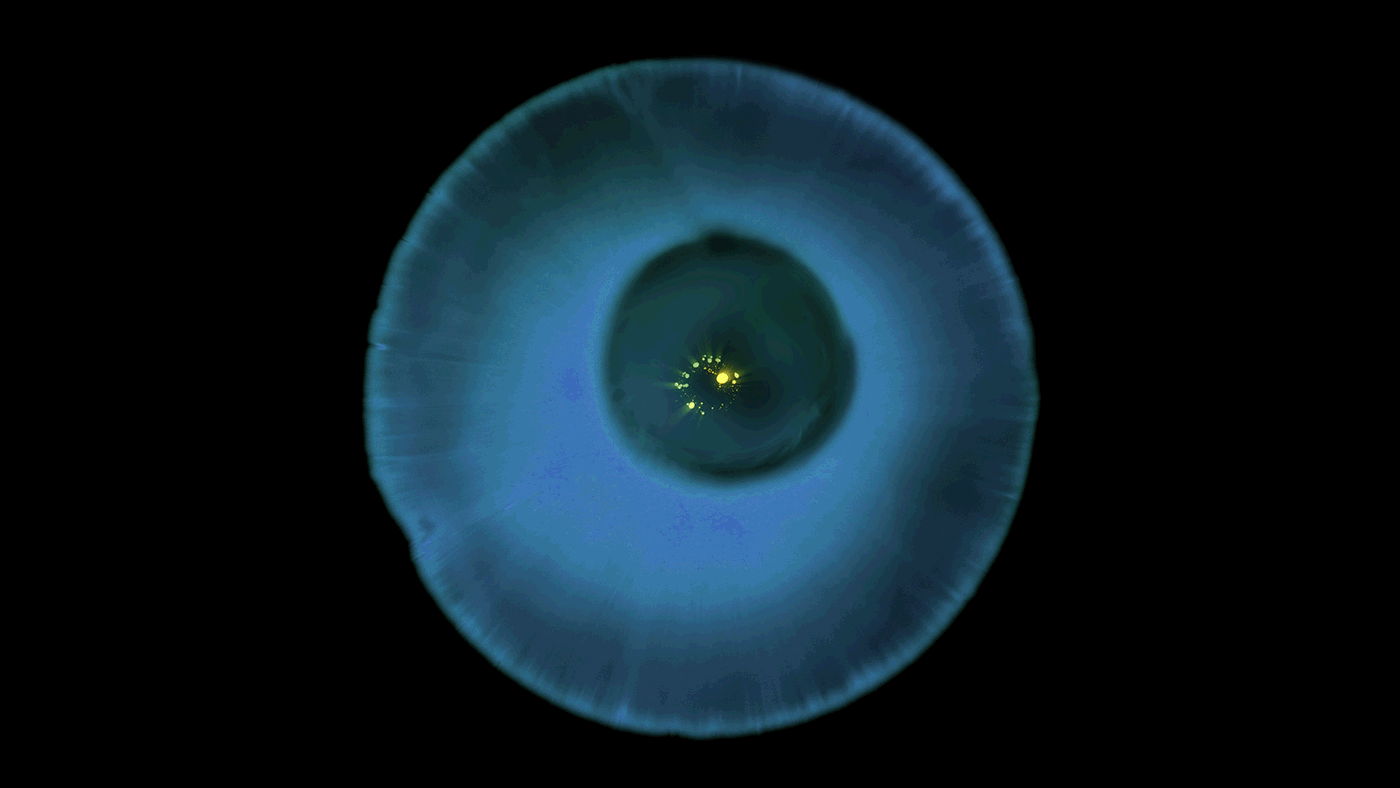 Test n°4 de Domotic