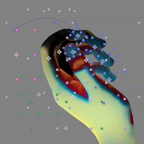 Animation de la main