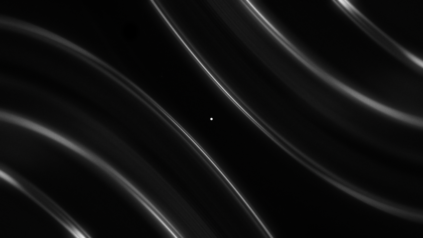 Stillframe 3 du Concerto pour une décolleteuse