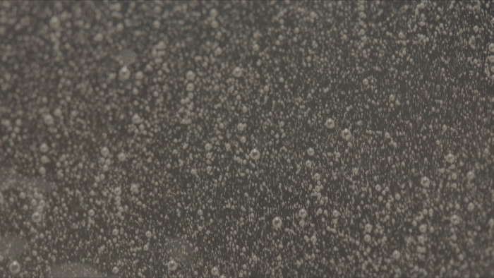 Recherche C4D n°1 d'Adobe Sampler