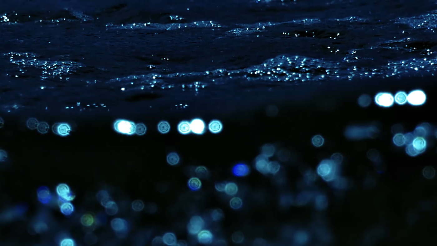 Stillframe 5 du concert Miyazaki