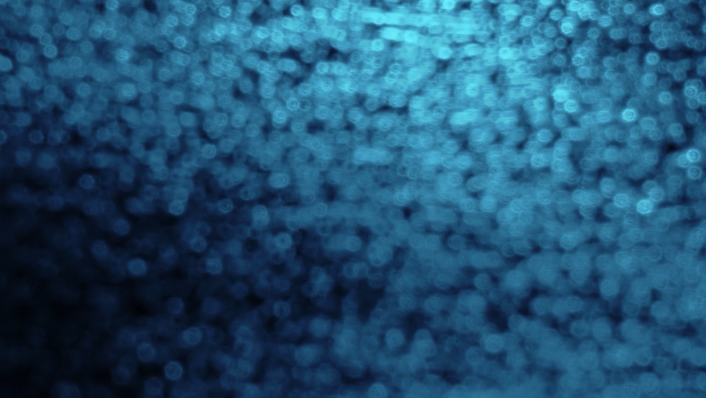 Stillframe 6 du concert Miyazaki